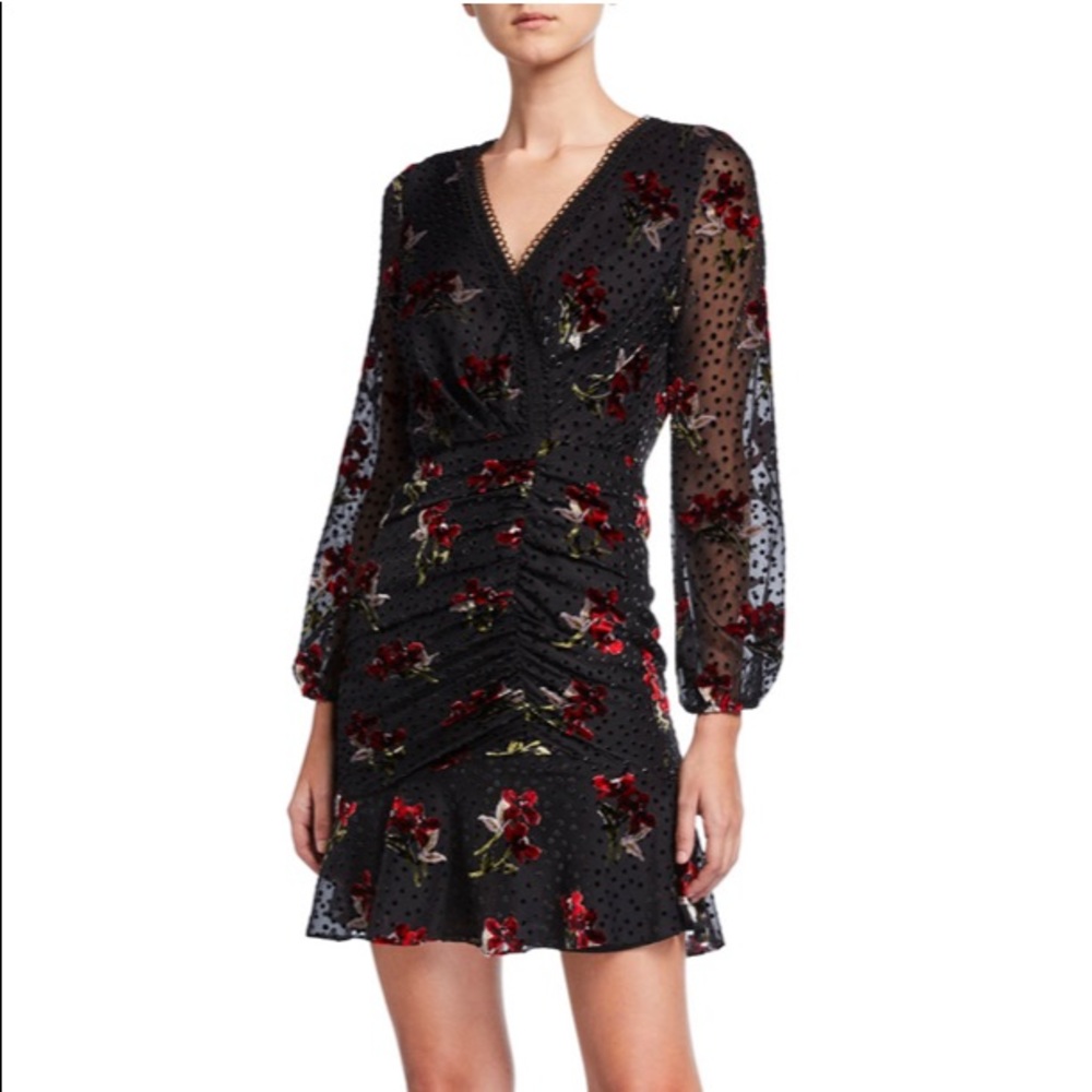🎉HP🎉Julietta Bouquet Toss Velvet-Detail Dress